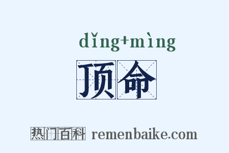 顶命是什么意思的图片